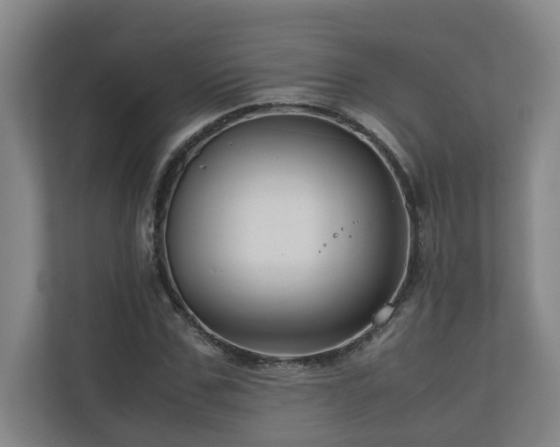 X0000111120971200906301307