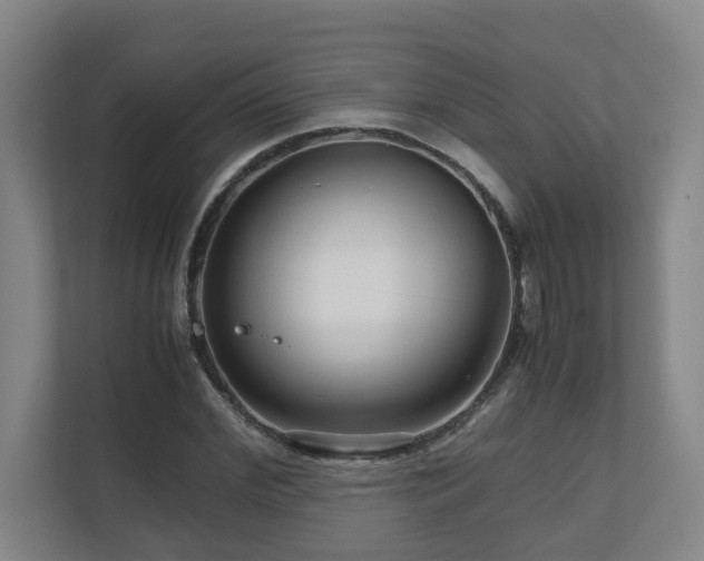 X0000111120972200906301307