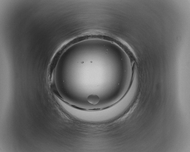 X0000111120973200906301307