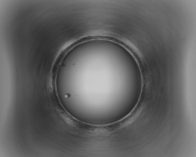 X0000111120974200906301307
