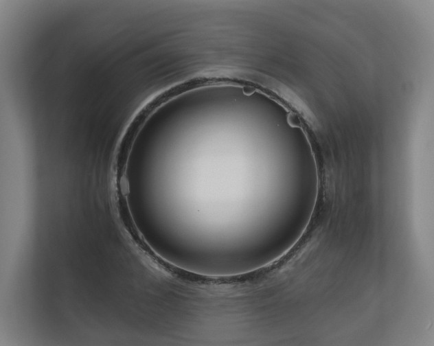 X0000111120976200906301307