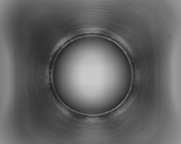 X0000111120978200906301307