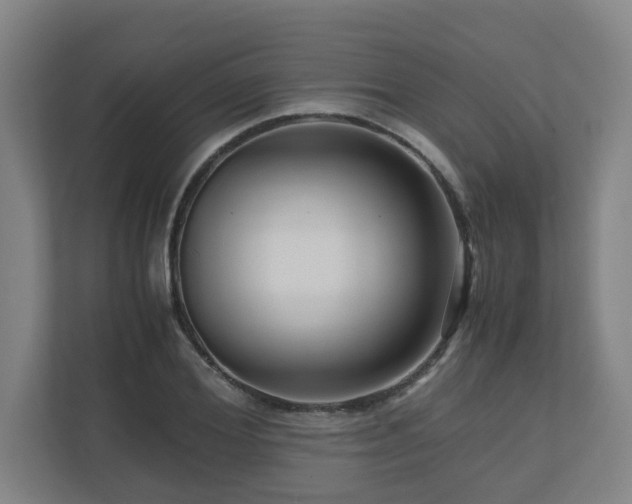 X0000111120980200906301307
