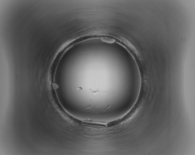 X0000111120981200906301307