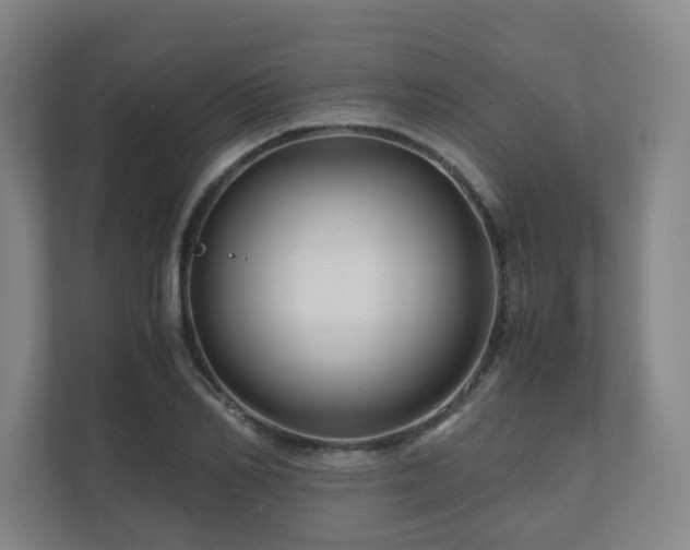 X0000111120982200906301307