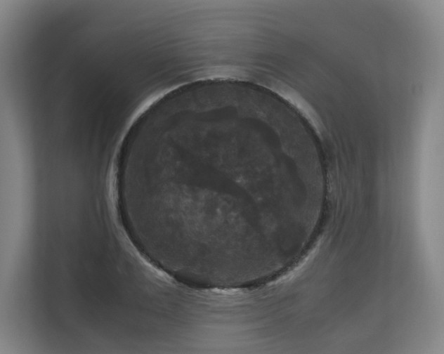X0000111120983200906301307