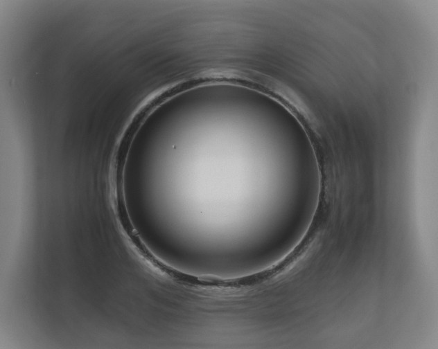 X0000111120984200906301307