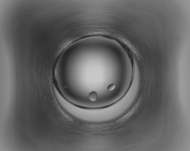 X0000111120985200906301307