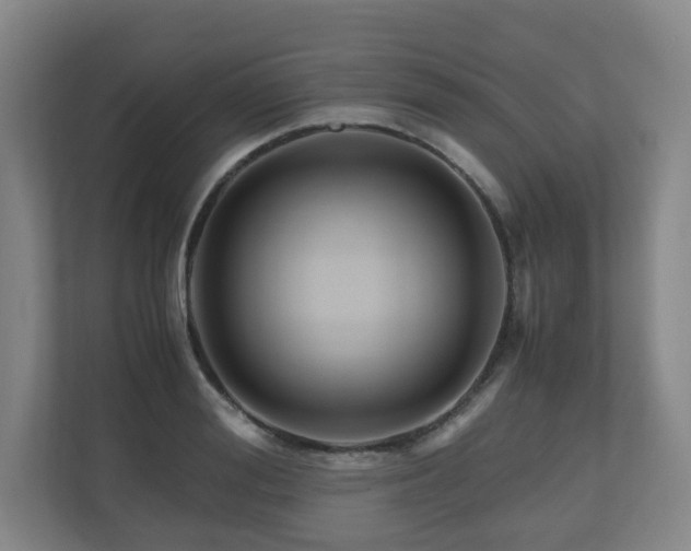 X0000111120988200906301307