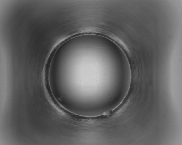 X0000111120991200906301307