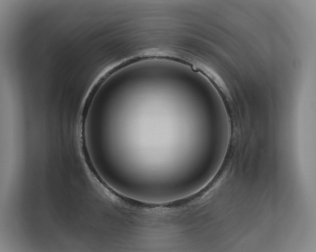 X0000111120992200906301307