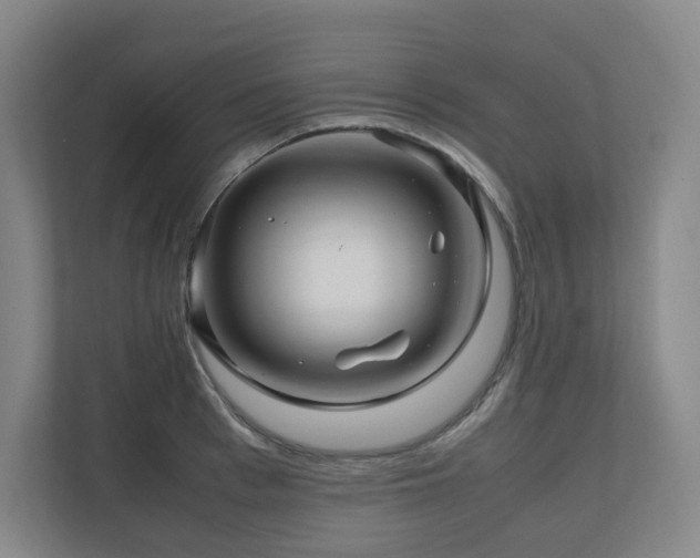 X0000111120993200906301307