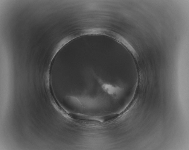 X0000111120994200906301307