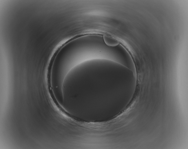X0000111120995200906301307