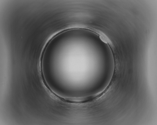 X0000111120996200906301307