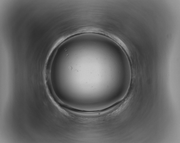 X0000111120997200906301307