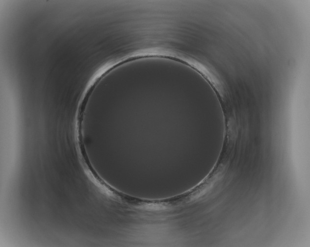 X0000111120998200906301307