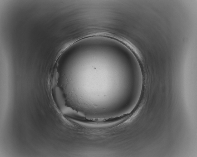 X0000111121001200906301307