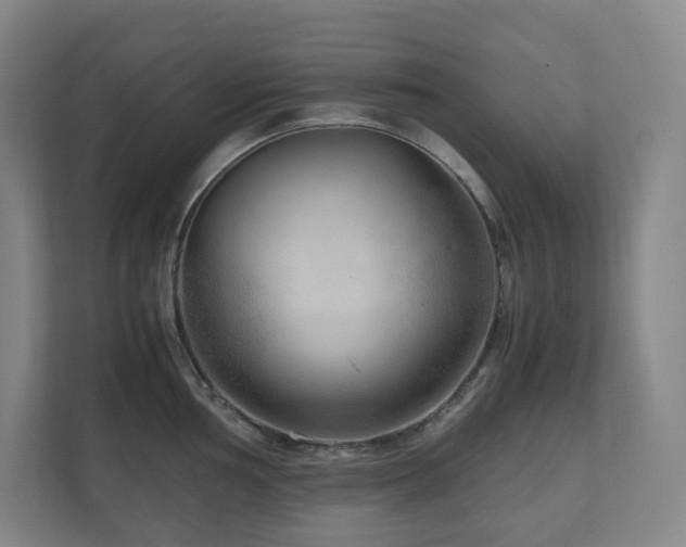 X0000111121002200906301307
