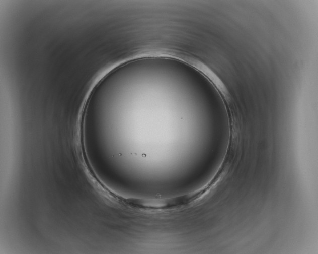 X0000111121004200906301307