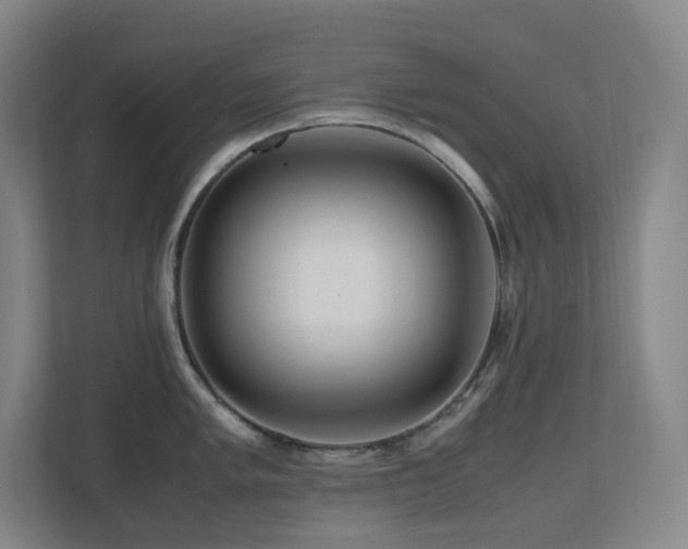 X0000111121005200906301307