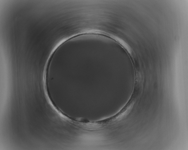 X0000111121007200906301307