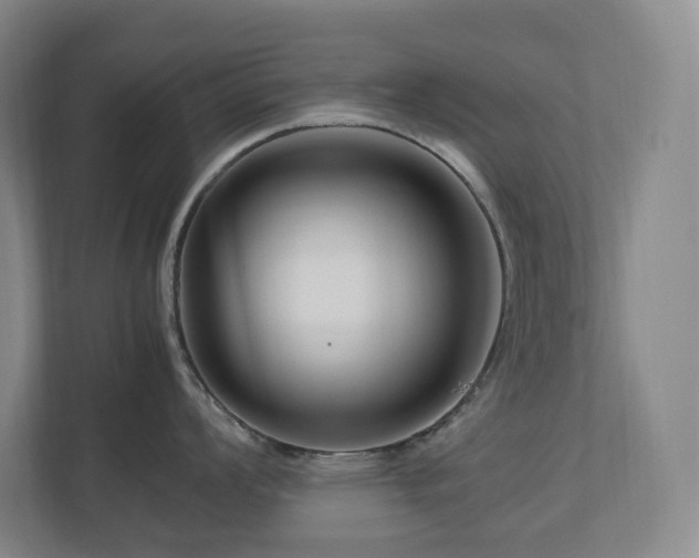 X0000111121008200906301307