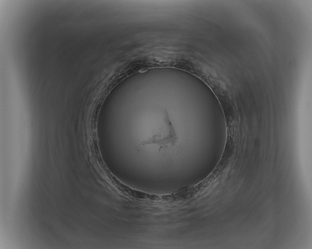 X0000111121009200906301306