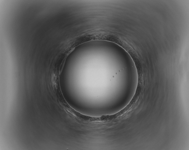 X0000111121010200906301306