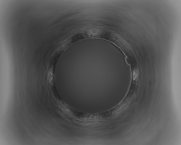 X0000111121011200906301306