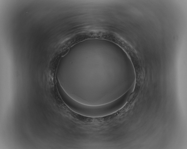 X0000111121013200906301306