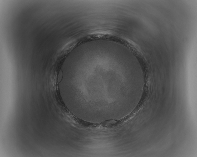 X0000111121014200906301306