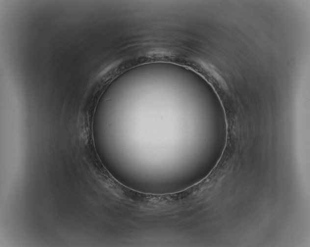 X0000111121015200906301306