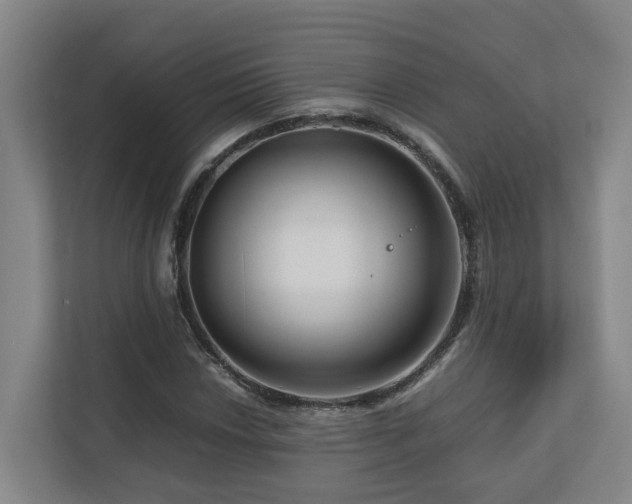 X0000111121018200906301306