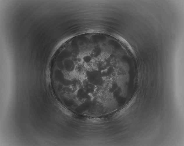 X0000111121019200906301306