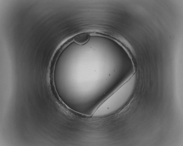X0000111121020200906301306