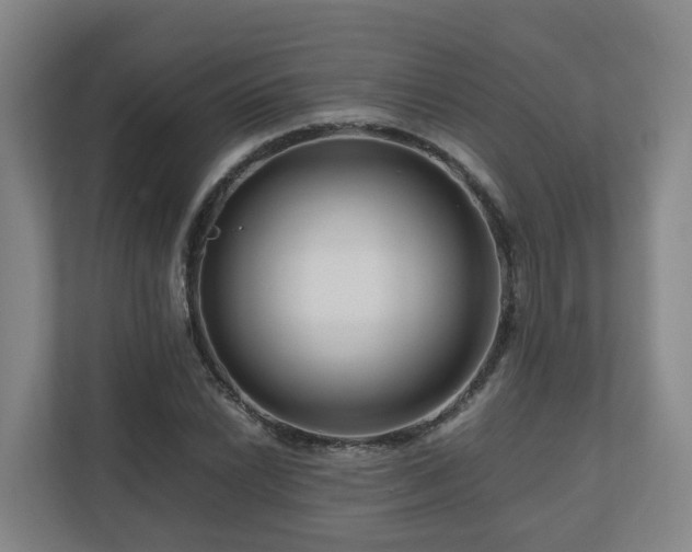 X0000111121022200906301306