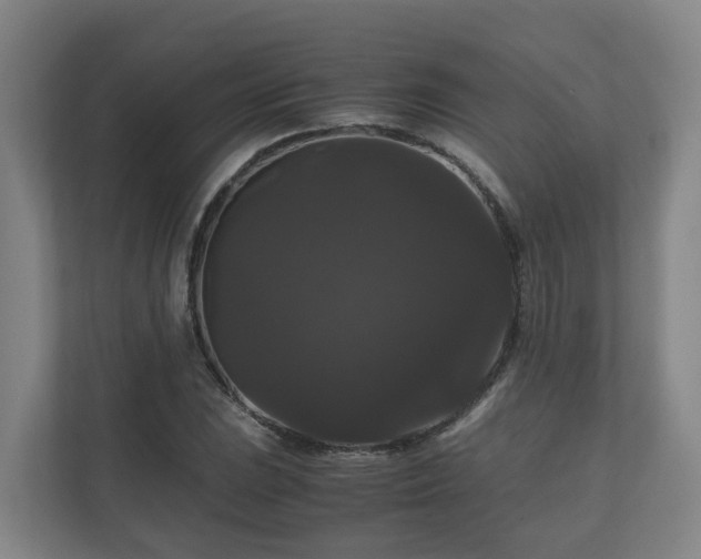 X0000111121023200906301306