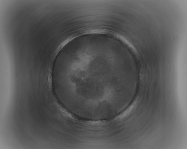 X0000111121025200906301306