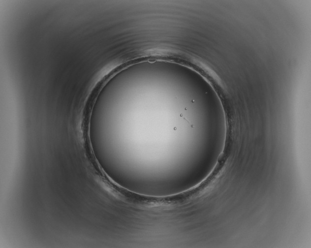 X0000111121026200906301306