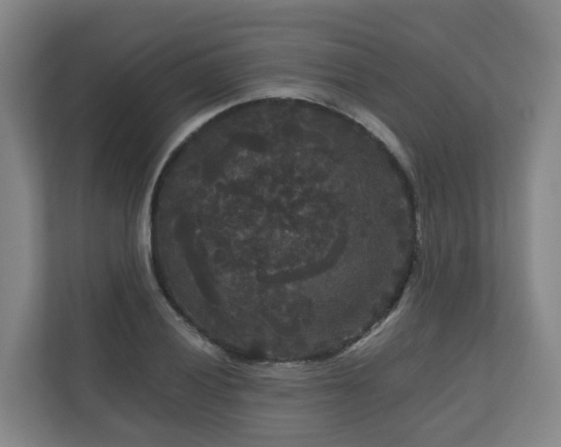 X0000111121028200906301306