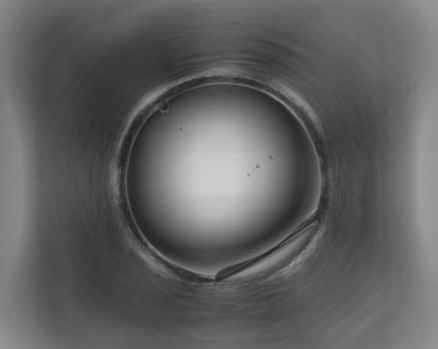 X0000111121029200906301306