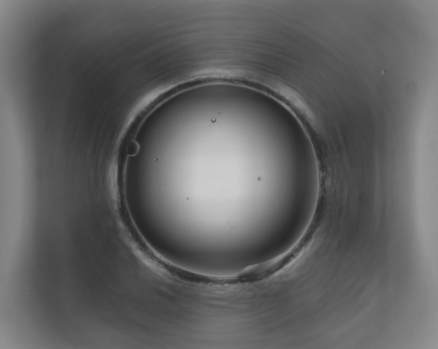 X0000111121030200906301306