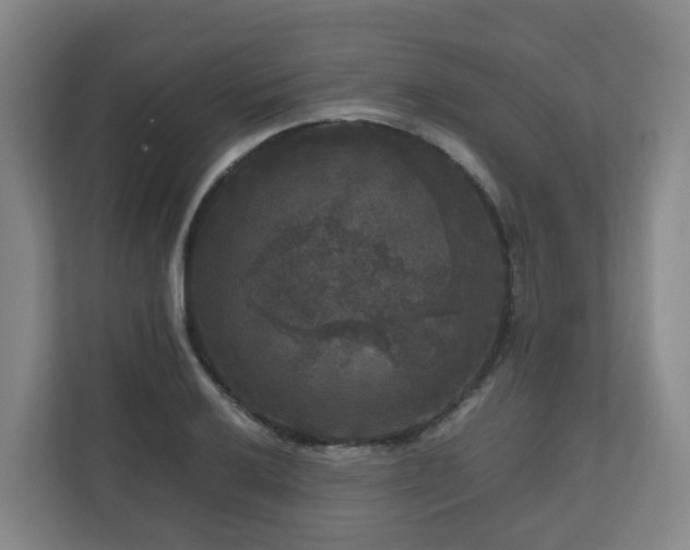 X0000111121032200906301306