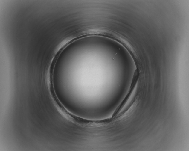 X0000111121034200906301306