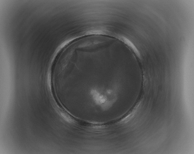 X0000111121035200906301306