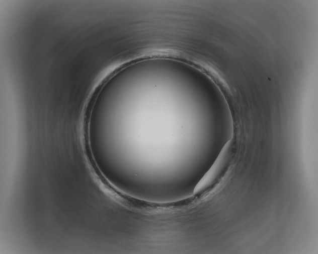 X0000111121038200906301306