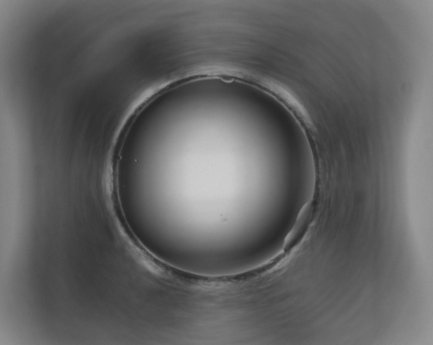 X0000111121040200906301306
