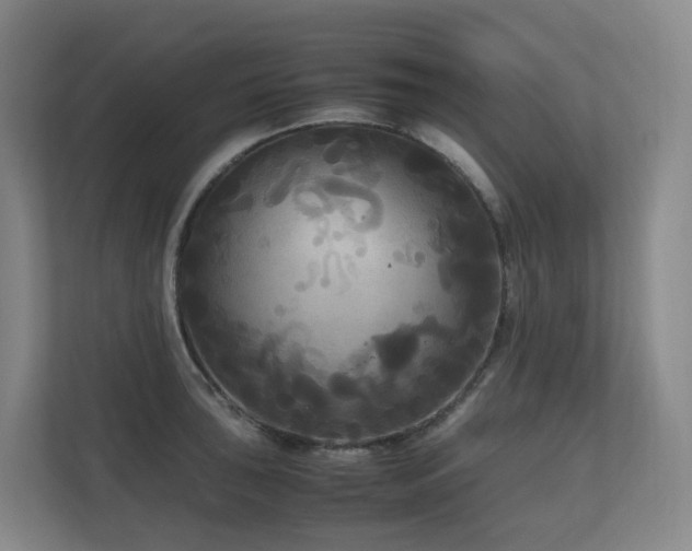 X0000111121043200906301306