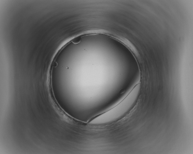 X0000111121044200906301306